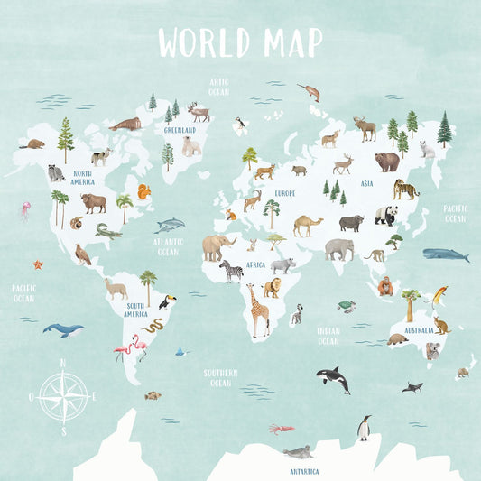 Descobrir o Mundo - This Little Room