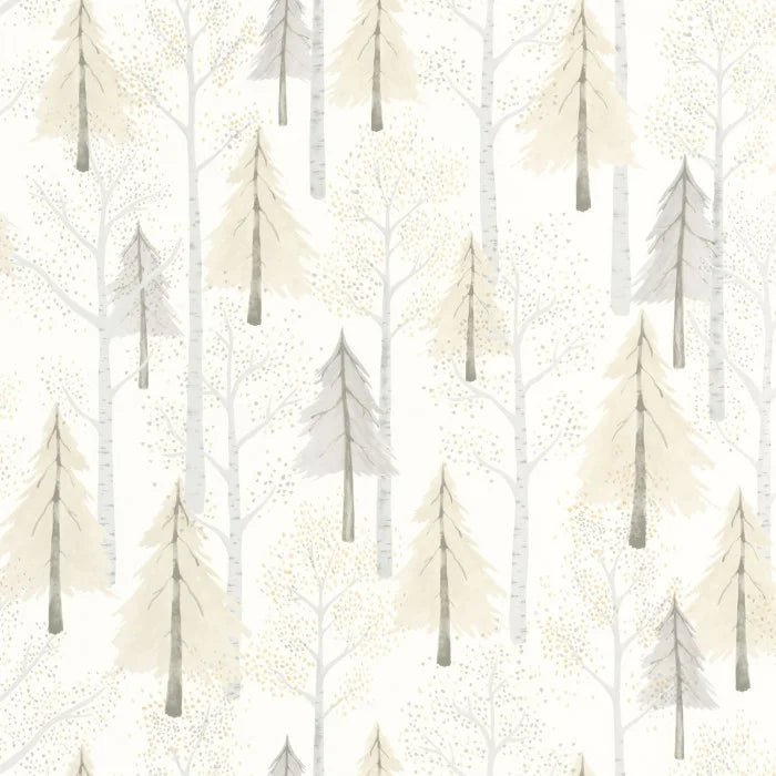 Passeio na Floresta - This Little Room