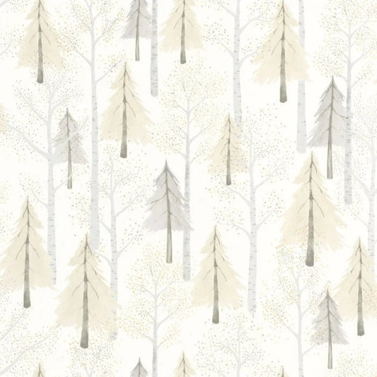 Passeio na Floresta - This Little Room