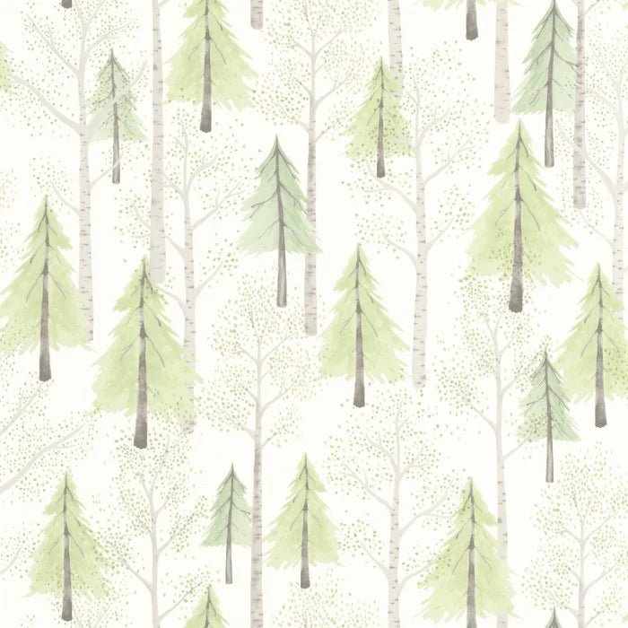 Passeio na Floresta - This Little Room