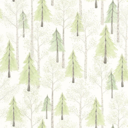 Passeio na Floresta - This Little Room
