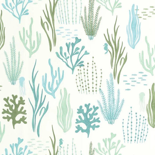 O Fundo do Mar - This Little Room