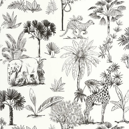 Balada da Savana - This Little Room