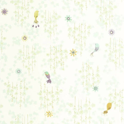 Aves Tropicais - This Little Room