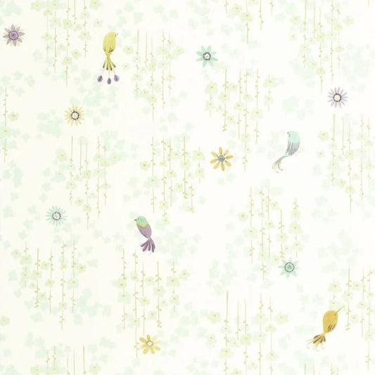 Aves Tropicais - This Little Room