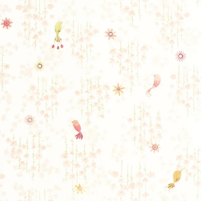 Aves Tropicais - This Little Room