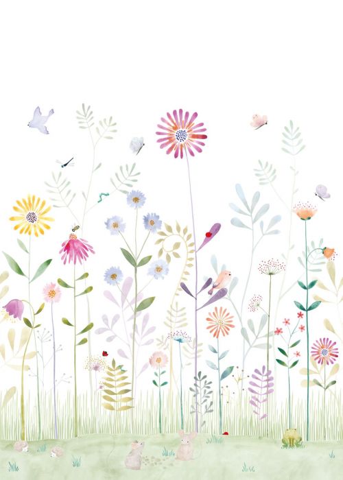 O Pequeno Mundo do Jardim com o Sapo - This Little Room